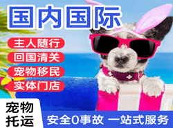 荆州沙市机场货运国际宠物托运 【国